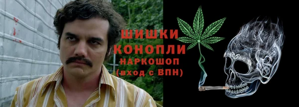 соль ск Абаза
