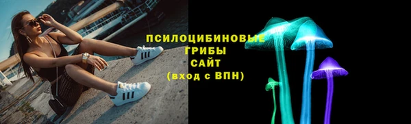 соль ск Абаза
