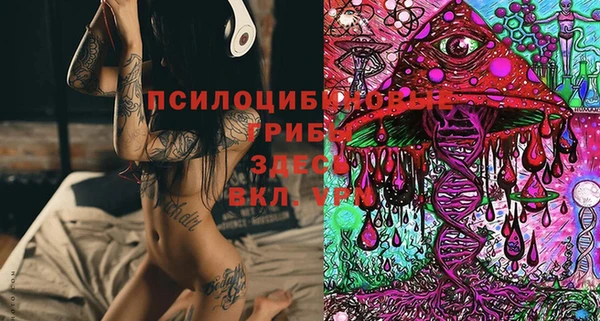 МДПВ Алексеевка