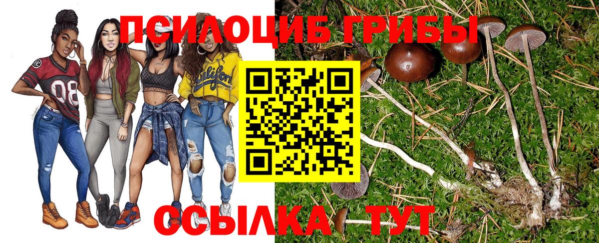 Зерноград  Псилоцибиновые грибы GOLDEN TEACHER  Вход с VPN 