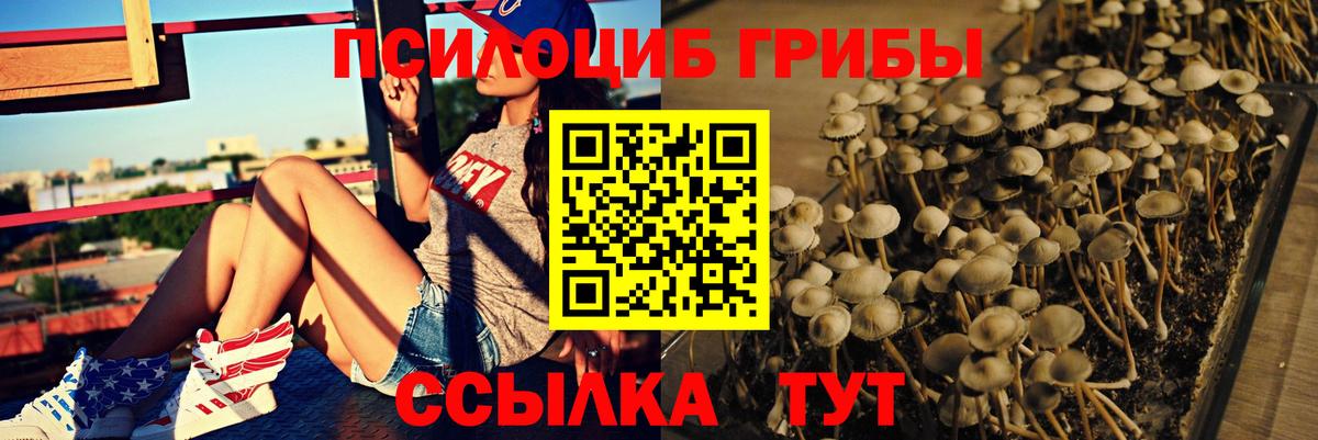 Галлюциногенные грибы Cubensis Зерноград